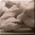 McCollum image 2